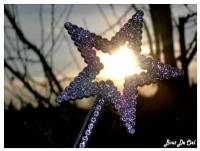 *** la vie ***